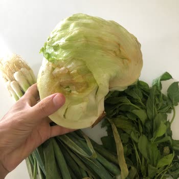 Popeyes Yenilenen Sipariş Değil, Yenilebilir Sipariş İstiyorum!