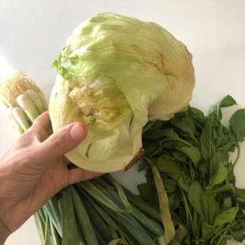 Popeyes Yenilenen Sipariş Değil, Yenilebilir Sipariş İstiyorum!