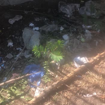 Göztepe Prof. Dr. Süleyman Yalçın Şehir Hastanesi Hastane Temizlik Hizmetleri Değerlendirmesi