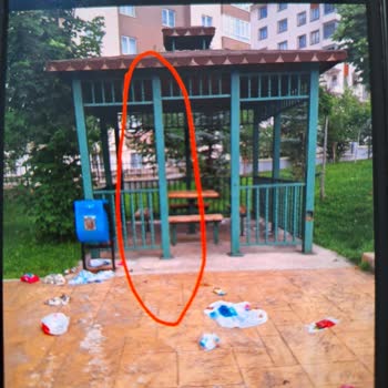 Palandöken Belediyesi Mahsur Kalan Kuş Kurtarılsın!