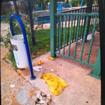 Palandöken Belediyesi Mahsur Kalan Kuş Kurtarılsın!