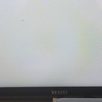 Vestel TV Sinek Girdi Garanti Kapsamı Dışı Deniliyor