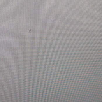 Vestel TV Sinek Girdi Garanti Kapsamı Dışı Deniliyor