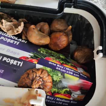 BİM Kuru İncir Kurtlu