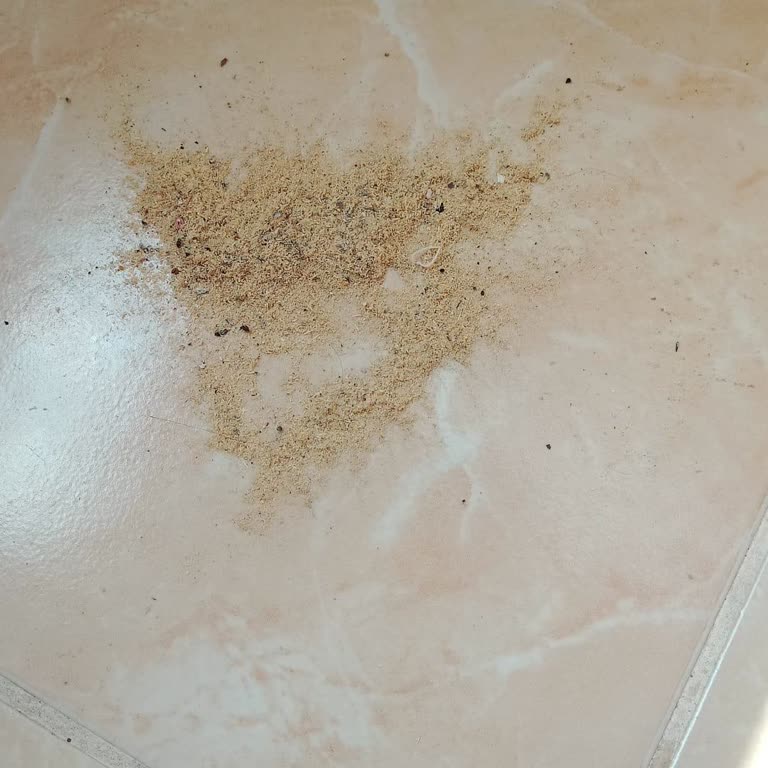 Germiyan Orman Ürünleri Talaş Tozu Problemi