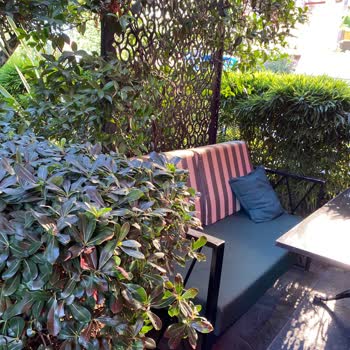 Hadiqa Cafe Her Boş Masaya Rezervasyon Var Denildi.