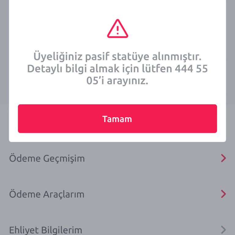 TikTak Kirala Hesabım Neden Pasif Durumda? Yardım İstiyorum!