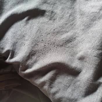 Micca Ürün Tüylendi