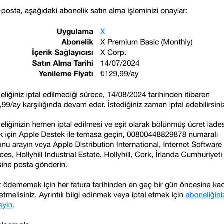 X (Twitter) Mavi Tik