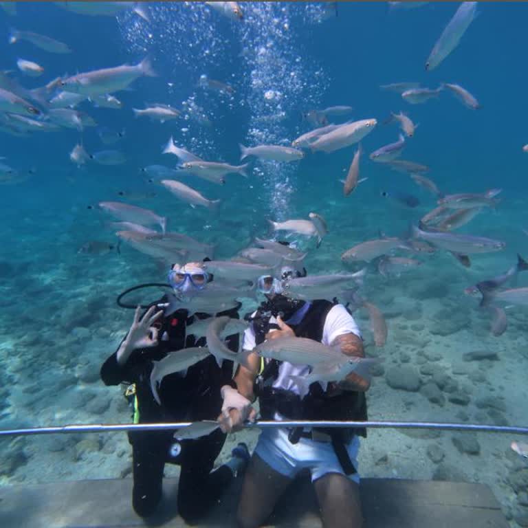 Adda Tours Ve Kalkan Dive Centre Dalış Memnuniyetsizliği!