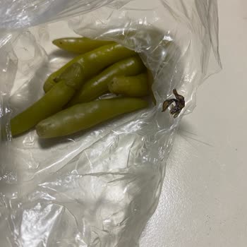 Öncü Döner Öncü Kızıltepe Müşteri Mağduriyeti