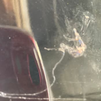 İnciroğlu Otomotiv (Kayseri) İnciroğlu Citroen Bayi Servisi Pişmanlığı