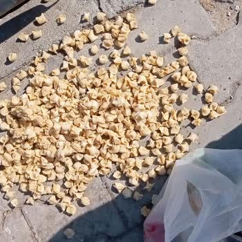 Şok Marketler Soğanlarda Bozulmuş Tarzında Yoğun Acılık Var.