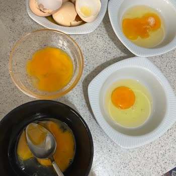 Carrefour SA Bozuk Yumurta İade Süreci