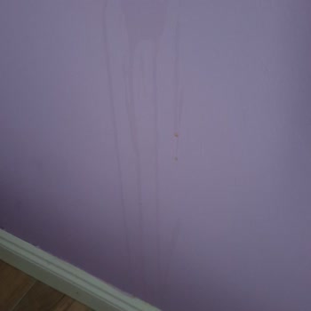 Houdini Hotel Ne Umduk Ne Bulduk!