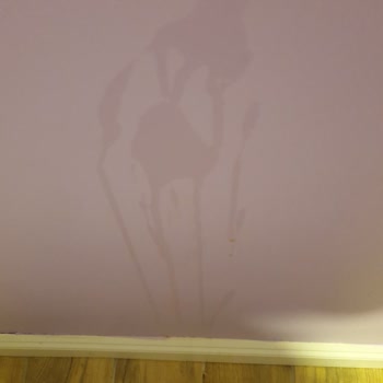 Houdini Hotel Ne Umduk Ne Bulduk!