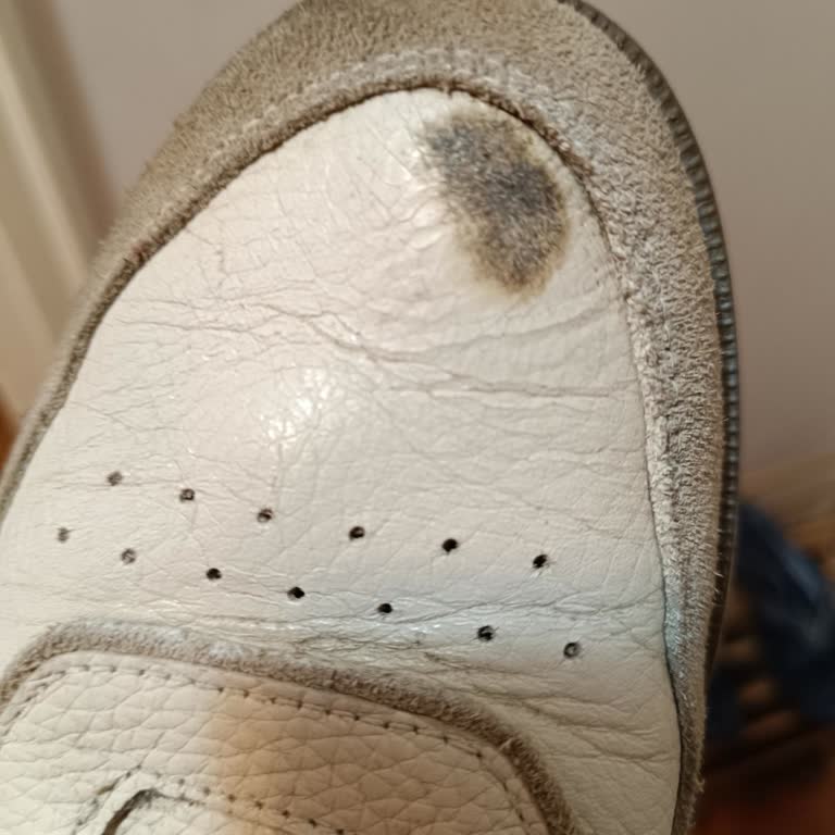 Tamer Tanca Firmasının Malına Sahip Çıkmaması