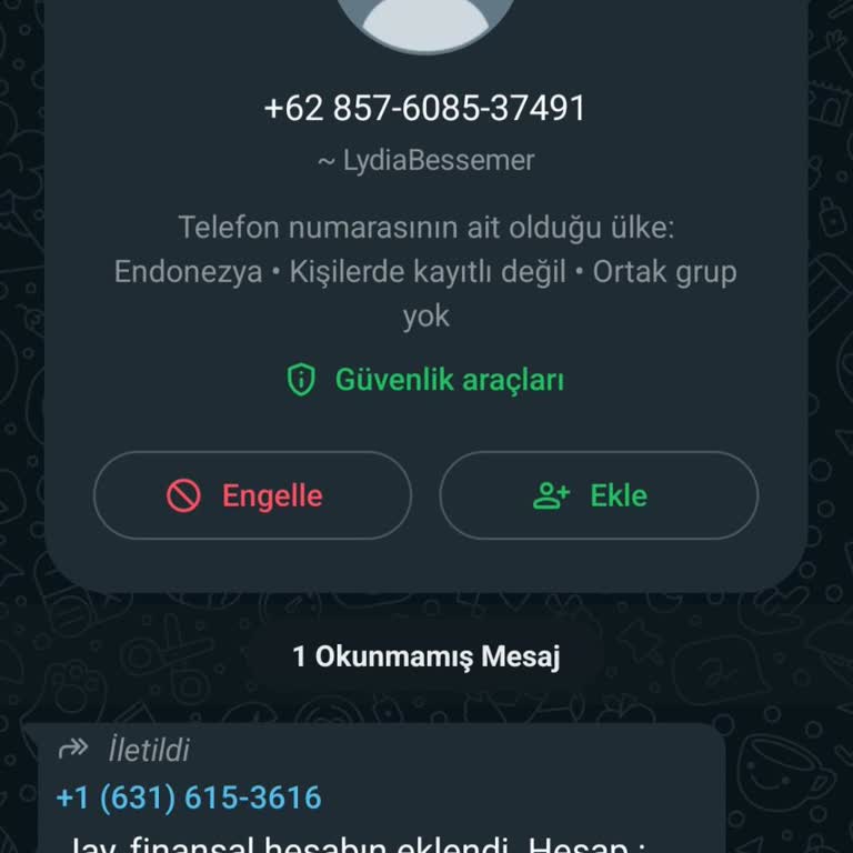 WhatsApp Kişisel Bilgilerimin İzinsiz Kullanımı Ve Güvenlik İhlali