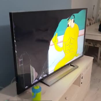Toshiba TV Ekran Koruyuculu Televizyonun Kırılması