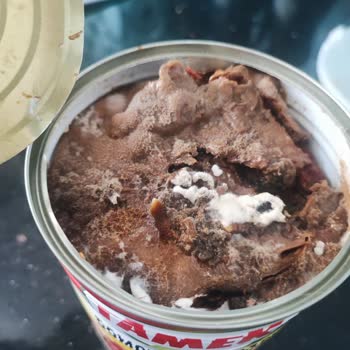 Tamek Domates Salçası Küf İçinde.