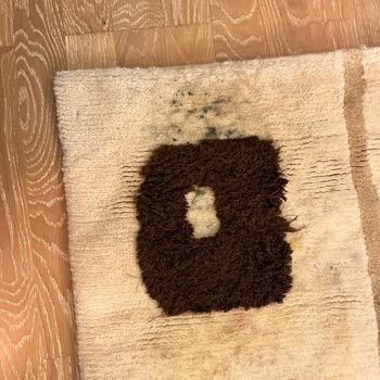 Zümrüt Halı Yıkama Halı Küflü Geldi