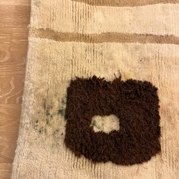 Zümrüt Halı Yıkama Halı Küflü Geldi