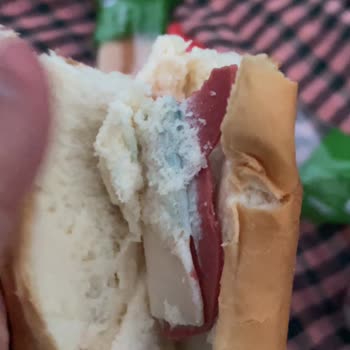 Dardanel Ton Ve A101 Sandviç