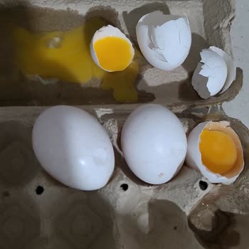 Migros Sanal Market Siparişimden Şikayetçiyim.