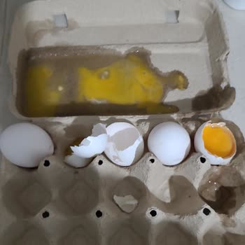 Migros Sanal Market Siparişimden Şikayetçiyim.