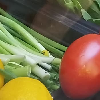 Kızılay AVM Deki Komagene Deki Yiyecekler Ve Camlardaki Sinekler