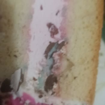 Tatbak Gıda Doğum Günümüzü Küflü Ve Bozuk Pastayla Kutladı