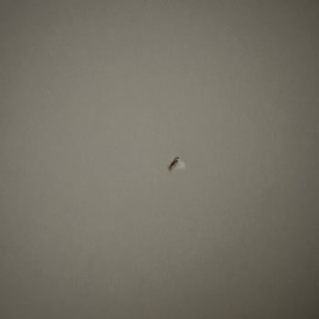 Almila Mobilya Ürününün Arkasında Durmuyor