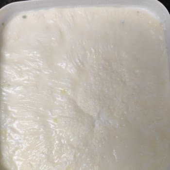 Açılmamış Birşah Yoğurt Son Kullanma Tarihinden 1 Hafta Önce Küflendi