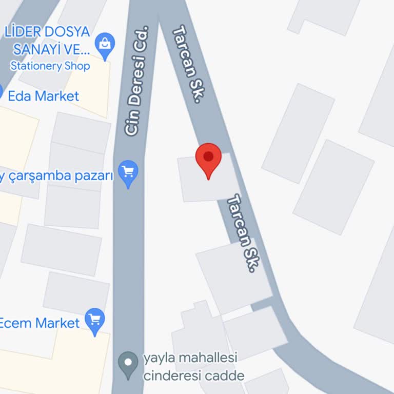 Şişli Belediyesi Tasmasız Büyük Irk Köpek