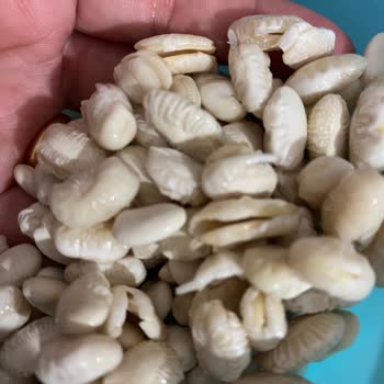 Migros Kuru Fasülye Çok Kötü Çıktı