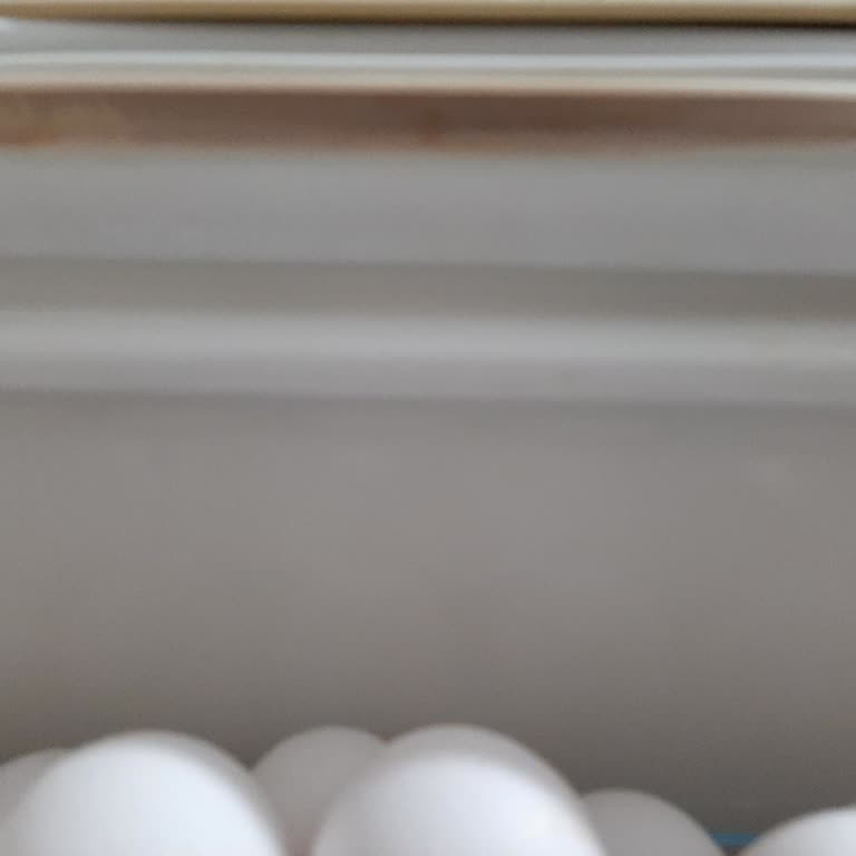 Arçelik 5194 Kapı Contası