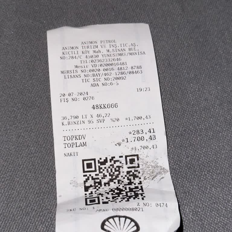 Manisa Shell Anemon Petrol