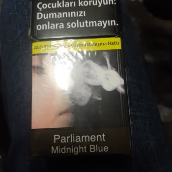 Tahta Parçası Çıkan Parliament