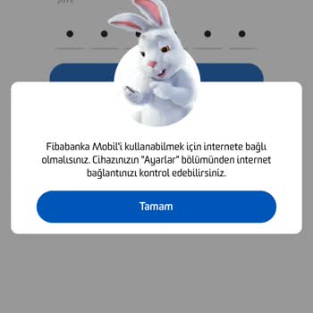 Fibabanka Uygulama Ve Müşteri Temsilcisi