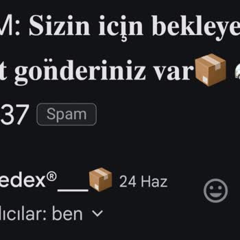 Fedex Kargo Mailleri Gönderiyor