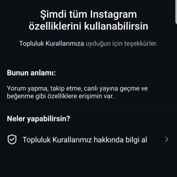 Instagram Erişim Engeli!