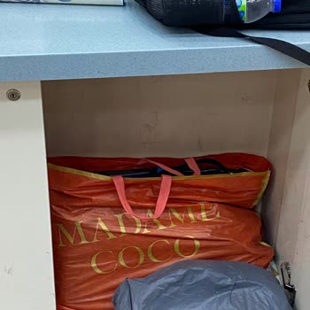 THY Evcil Hayvan Taşımada Sorumsuzluk