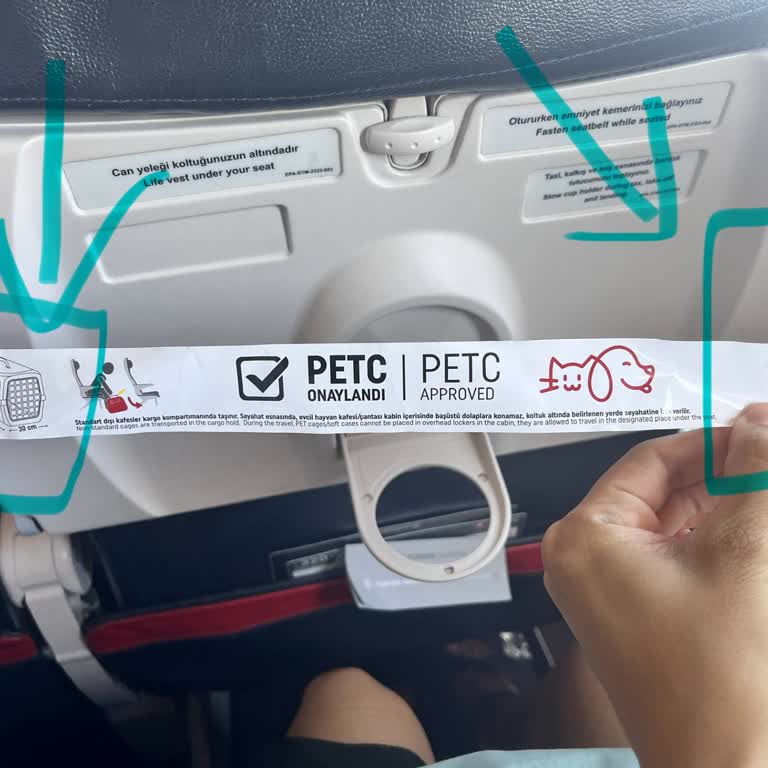 THY Evcil Hayvan Taşımada Sorumsuzluk