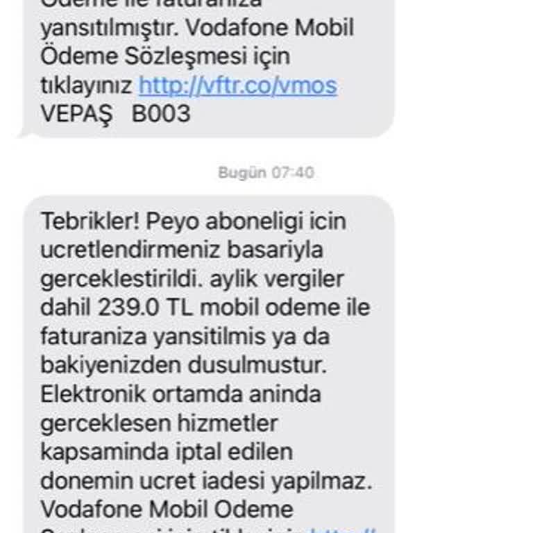 Vizyon Elektronik Para Hiçbir Bilgi Olmadan Hesabıma 329.0 TL Hesabıma Kesilmiş
