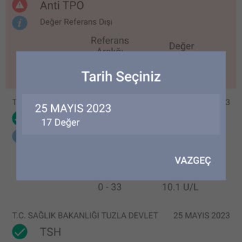 E Nabız Da Son Tahlil Sonuçlarım Görünmüyor.
