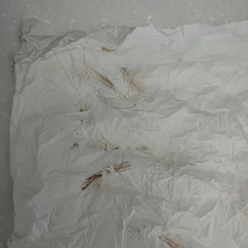 Philips Ev Aletleri Paslanan İç Hazne! Her Şey Fotoğrafta Belli!