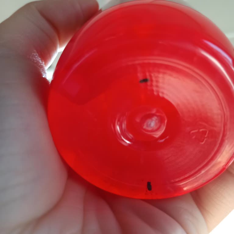 Hippi Bubble Tea İçinde Böcekler Var!