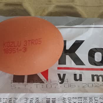 A101 Tarihi Geçmiş Yumurta Ve İade Almada Zorluk