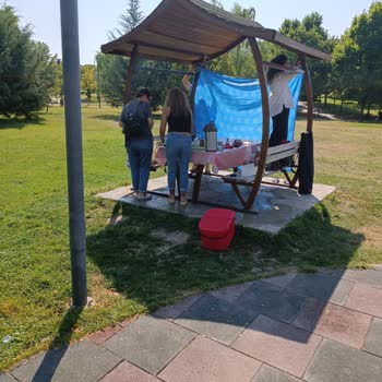 ABB - Ankara Büyükşehir Belediyesi Parkta Piknik Yaparken Çim Sulamalar Çalıştı Ve Her Şey Harap Oldu