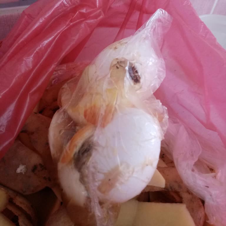 Ata Gross (Ankara) Bozuk Yumurta Satıyorsunuz